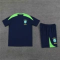 2425 brazilian royal blue