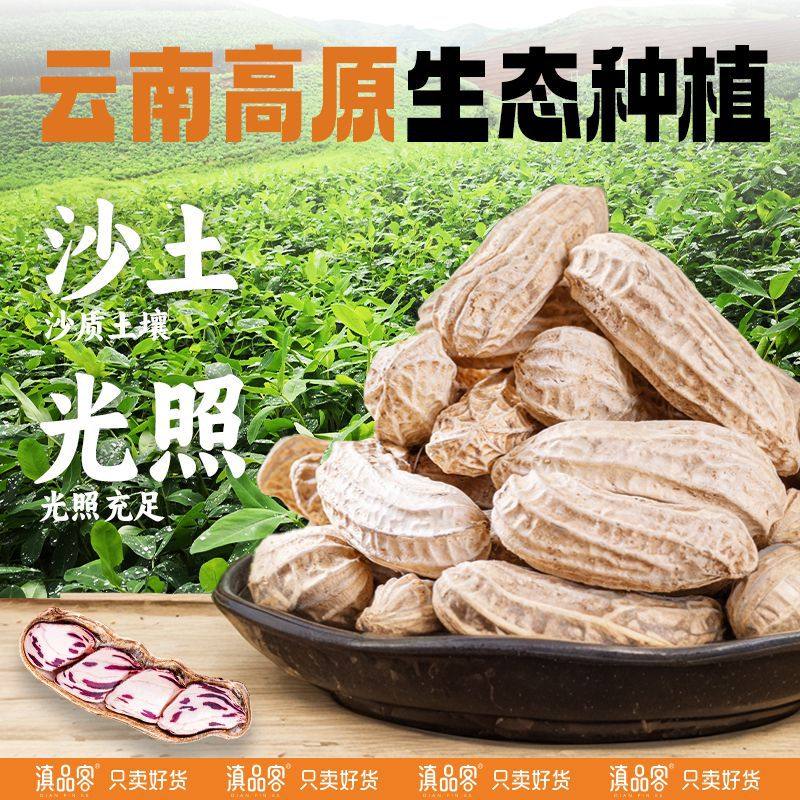 New Colorful Salted Dried Peanuts from the Academy of Agricultural Sciences, Boiled Shelled Milk Fruit Peanuts, Yunnan Specialty Nut Snacks