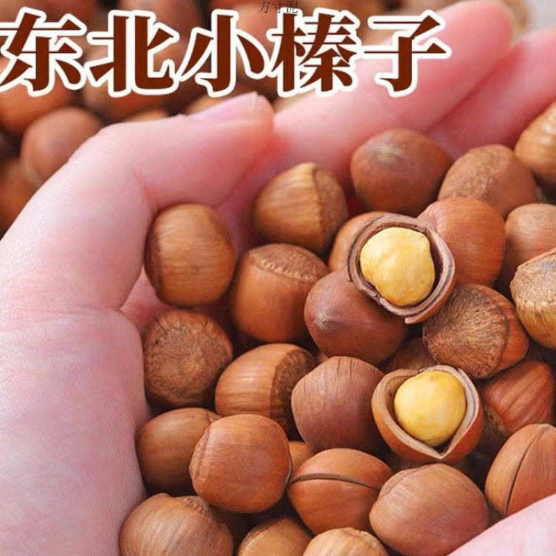 Net weight northeast small hazelnut Tieling specialty original 500g thin-skinned nut snacks factory source factory a wholesale
