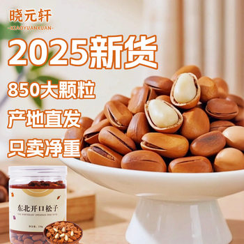 Xiao Yuanxuan New Northeast Open Red Pine Nut Super Granular Nut Canned 500g Fried Snack Dried Fruit Factory