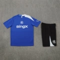 2526 Chelsea Blue
