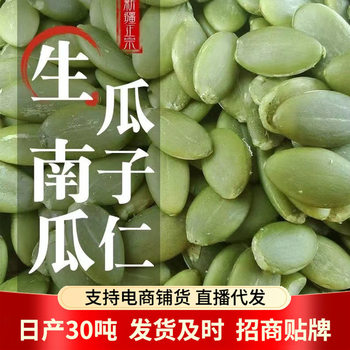 Raw pumpkin seeds wholesale 500g Xinjiang pumpkin seeds large baking raw materials fried raw materials pumpkin seeds