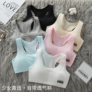 Girls' Bra Development Period Small Vest Cotton Medium and Large Children's Tube Top 12 Underwear Suspenders Student Junior High