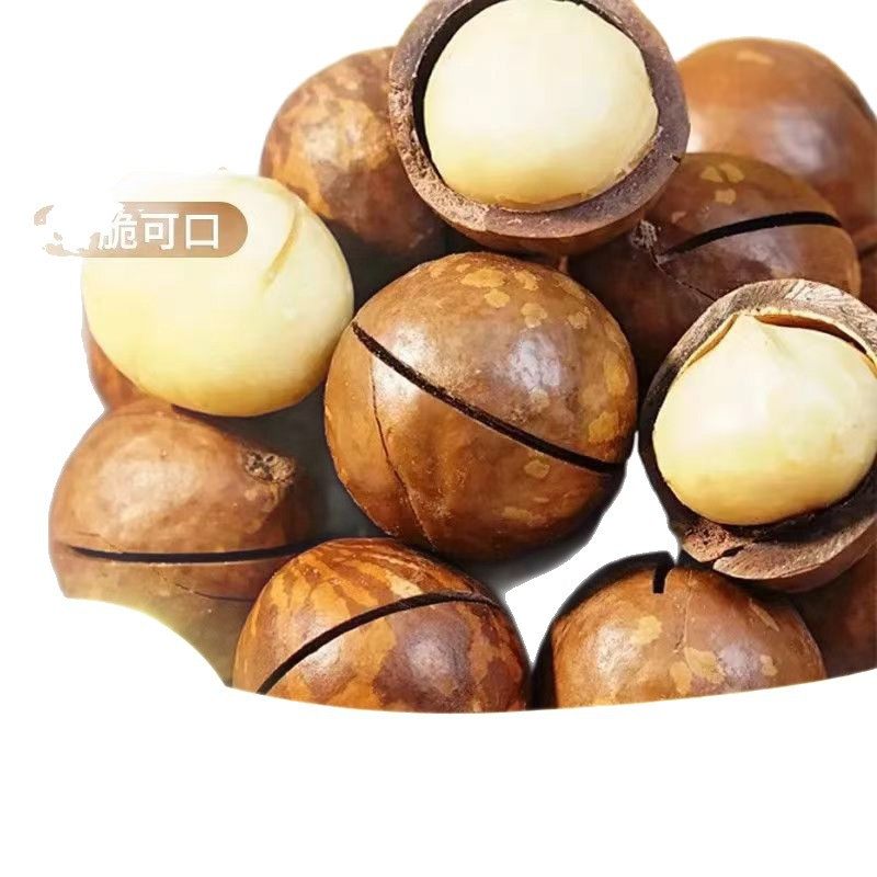 Wholesale Delivery of Macadamia Nuts 500g Per Bag, Creamy Large Fruit, Thin-Skinned Snacks, Dried Fruit Specialties