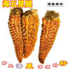 Fresh Seafood Starfish with Full Seeds and Full Yellow Sea Star Legs, Quick-Frozen Sea Star