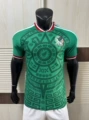 26-27 mexico home game