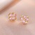 E1096 розовые серьги
