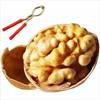 2.5kg Packs of Xinjiang Thin-Skinned Walnuts Wholesale Nuts Large Walnuts Original Dried Walnuts with Clips 150