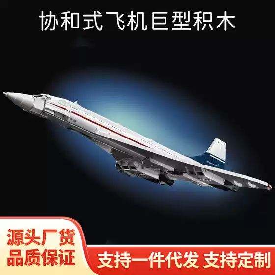 Cross-Border Compatible LEGO 10318 Concorde Aircraft Space Passenger Plane Building Bricks Large Toy Gift Wholesale