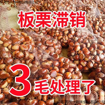 Fresh Dandong Chestnuts, Fresh Chestnuts, Tender Large Chestnuts, Wild Yanshan Chestnuts, Oil Cone Chestnuts
