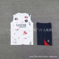 PSG011