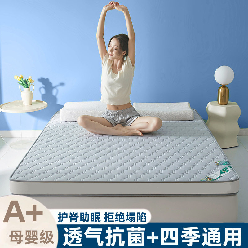 Thickened Latex Mattress Household Summer Foldable Cool Silk Student Dormitory Single and Double Mattress Floor Mat