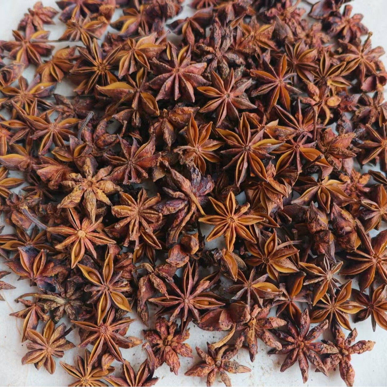 Guangxi High-Quality Star Anise Spices, Aniseed Spices, Seasonings, Fennel, Dry, Origin Seasonings, Direct Delivery, Available for Wholesale