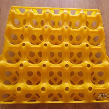 Golden Phoenix 20 medium large duck egg tray goose egg tray can hold 130g egg tray weight 180g size 30*30