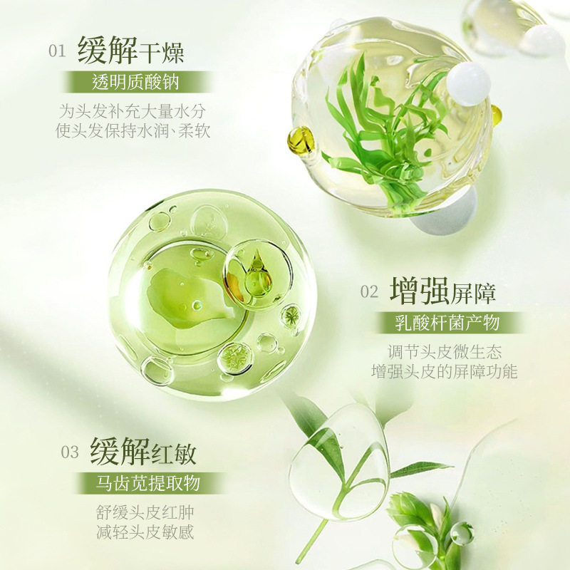 Lvfe Scalp Management No-Rinse Shampoo Oil Control Fluffy Improves Dry Hair Anti-Dandruff Long-Lasting Fragrance