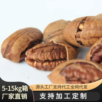 New Arrival, Extra Good Peeled Pecans, Longevity Fruit in Bulk Wholesale Cream Flavor 5kg Guillotine Lin'An Nut Specialty