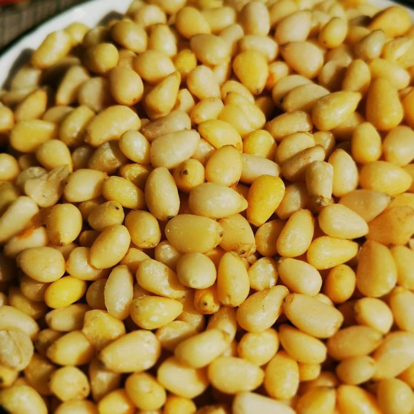 Daxinganling pure wild ponytail pine nuts new product pine low temperature dry nuts specialty snacks 250g canned