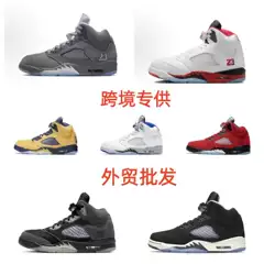 Jordan Sneakers Air Jordan 5