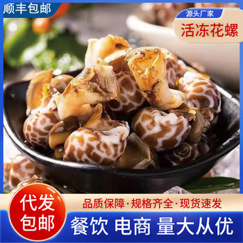 Fresh Frozen Flower Snails, Fresh Quick-Frozen Small Sea Snails, Sea-Caught Shellfish, Flower Snail Raw Materials, Seafood and Aquatic Products Wholesale