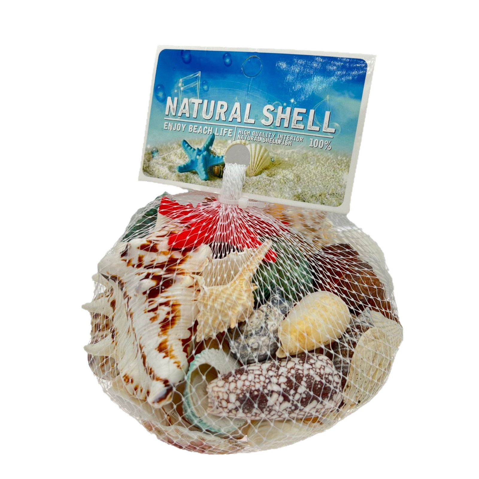 Study Natural Shell Conch Starfish Fish Tank Landscaping Decoration Shell Conch Wholesale Wind Chime DIY Crafts