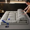 Five-Star Mattress Cushion Five-Star Hotel Feather Silk Thickened Tatami Mat Home Student Dormitory Cushion Quilt