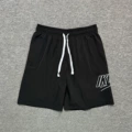 3009 (embroidery)
