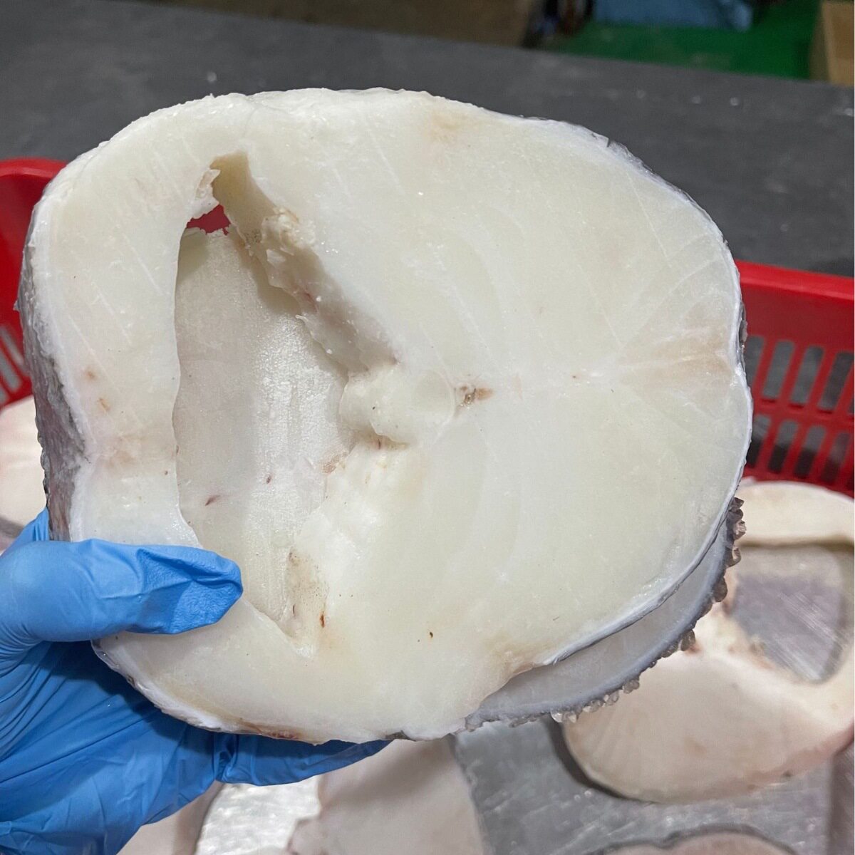 Silver Cod Wholesale Imported from France, Deep-Sea Large Cod Middle Section, No Frozen Antarctic Toothfish, Single Piece Defective