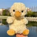 Sweet duck - in stock