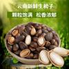 2024 Raw Pine Nuts Yunnan Pine Nuts Wholesale Wild Thin-Shell Wet Pine Nuts Without Opening Original Nut Snacks