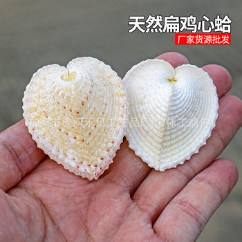 Flat Chicken Heart Clam Heart Shaped Shell Love Shell Fish Tank Platform Wedding Gift Natural Shell Conch Specimen Wholesale