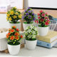 Artificial Flower Potted Plant Indoor Household Dining Table Decoration Small Ornaments Five-leaf Plum Blossom Potted Plastic Flower Cross-border Plant