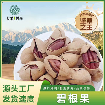 Wholesale thin shell cream flavor Bigroot fruit healthy snack snacks nuts dried fruit walnut longevity fruit Bigroot fruit