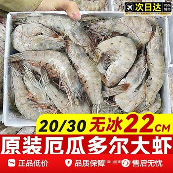 Ecuadorian White Shrimp, Large Shrimp, Fresh, Quick-Frozen, Salt-Frozen, 2030 South American White Shrimp, Prawns, Sea Shrimp, Prawns, Seafood