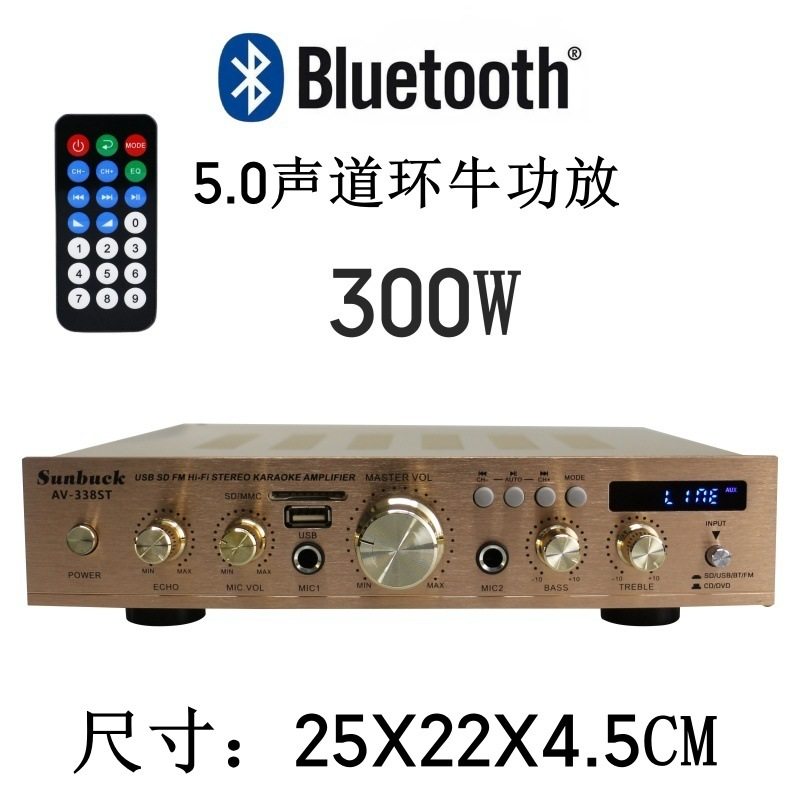 Sunbuck Shan Yu Amplifier Karaoke Amplifier High Power with Card Remote Control Bluetooth Amplifier