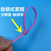 Crafts binding fixed pink cable tie color plastic toy binding belt 5*250mm self-locking
