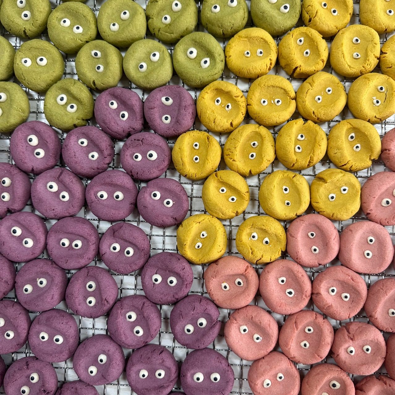 Pet Handmade Snacks for Cats and Dogs, Universal Pure Meat Biscuits with Meals and Plating Training Rewards for Small Size Dogss