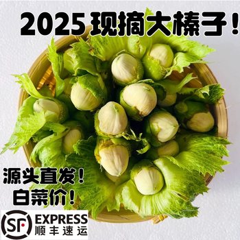 2025 Fresh Wild Hazelnuts with Green Skin, Water Kernels, Green Skin Nuts, Northeastern Products, Sf Free Shipping