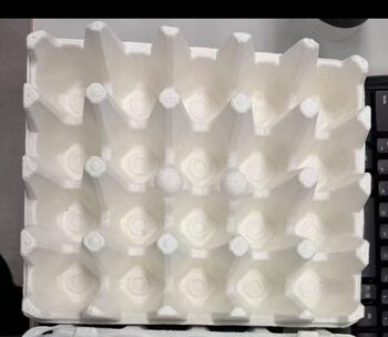 Paper Pulp Moulding Packaging Egg Tray Dry Pressed Paper Tray 20 White Egg Tray