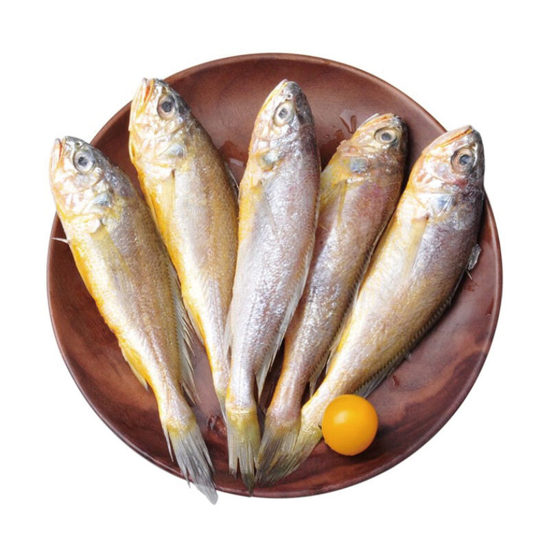 Fresh Frozen Small Yellow Croaker, Sea-Caught Small Yellow Croaker, Fresh Quick-Frozen Small Yellow Croaker, Yellow Croaker Seafood and Aquatic Products Wholesale