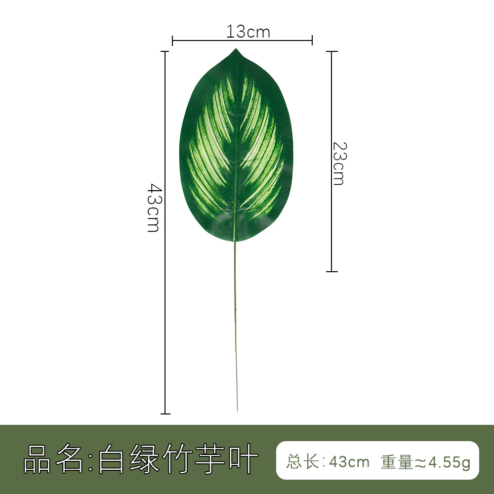 仿真人造植物叶子 单片绿叶春雨叶美人蕉 北欧家居风插花装饰配材