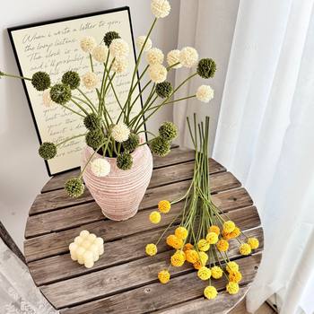 Simulation chestnut fruit gold ball 5 dandelion home living room decorative flowers fake flowers table flowers simulation green plants