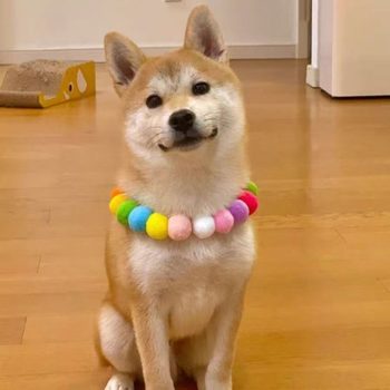 Cross-border best selling cat collar color fur ball puppy collar scarf necklace cute pet accessories a generation of hair