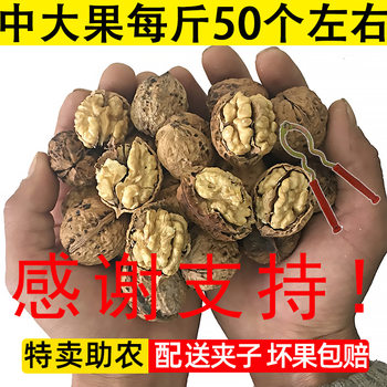 2025 New Walnuts from Yunnan, Thin-Skinned Paper-Skinned Old Tree Nuts Snacks for Pregnant Women, Unbleached Dried Black Walnut Farm Bulk Pack