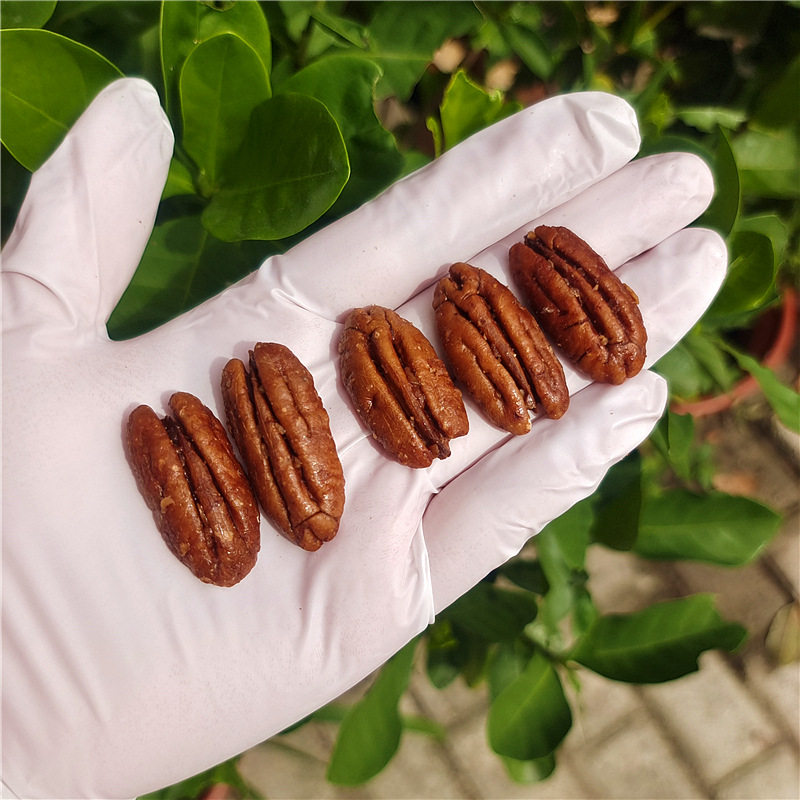 New product Bigen nuts longevity fruit Meat canned 450g nuts wholesale factory direct sales