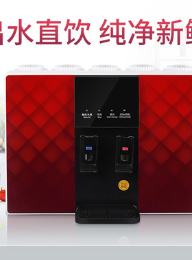 加热一体机净水器家用农村厨房饮水机五级家用净水器