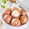 New Arrival Macadamia Nuts in Shell Bagged Fitness Large Particle Creamy Nuts Dried Fruits Roasted Seeds and Nuts Snacks Wholesale