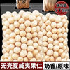 New Arrival Net Weight Creamy Original Flavor Macadamia Nuts Raw and Roasted Nuts Cocoa Crisp Baking Ingredients 250g Cross-Border E-Commerce