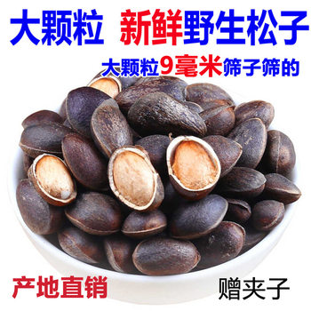 Yunnan Fresh Wild Pine Nuts Unprocessed Original Large Capsules Nut Snacks for Pregnant Women Nutritional Leisure Bag L
