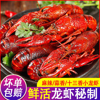 Spicy Crayfish Ready-To-Eat Boxed Fresh Cooked Garlic-Flavored Thirteen-Spice Crayfish Cooked Food Clear Water Shrimp for Commercial Use