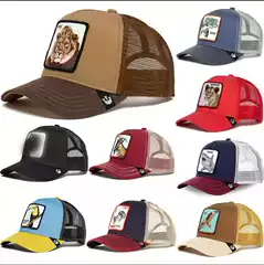 Goorin bros Hat Lone Wolf